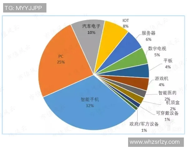 中国足球明星全景解析及其职业生涯成就与影响力探讨