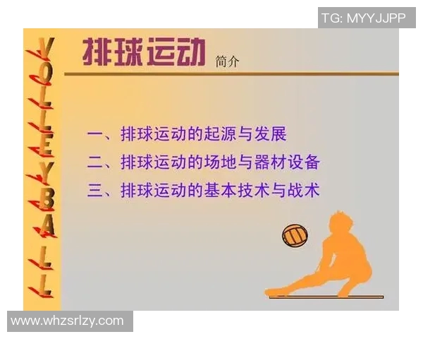 北京排球队的节奏分析与战术演变探讨